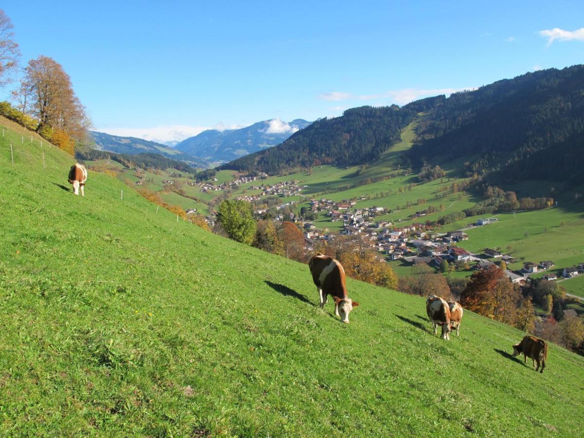 Vila Leitnerhof Niederau Exteriér fotografie