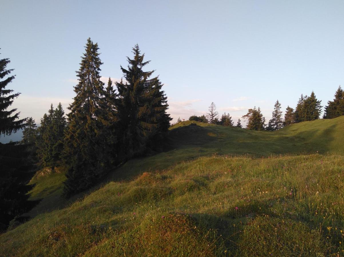 Vila Leitnerhof Niederau Exteriér fotografie